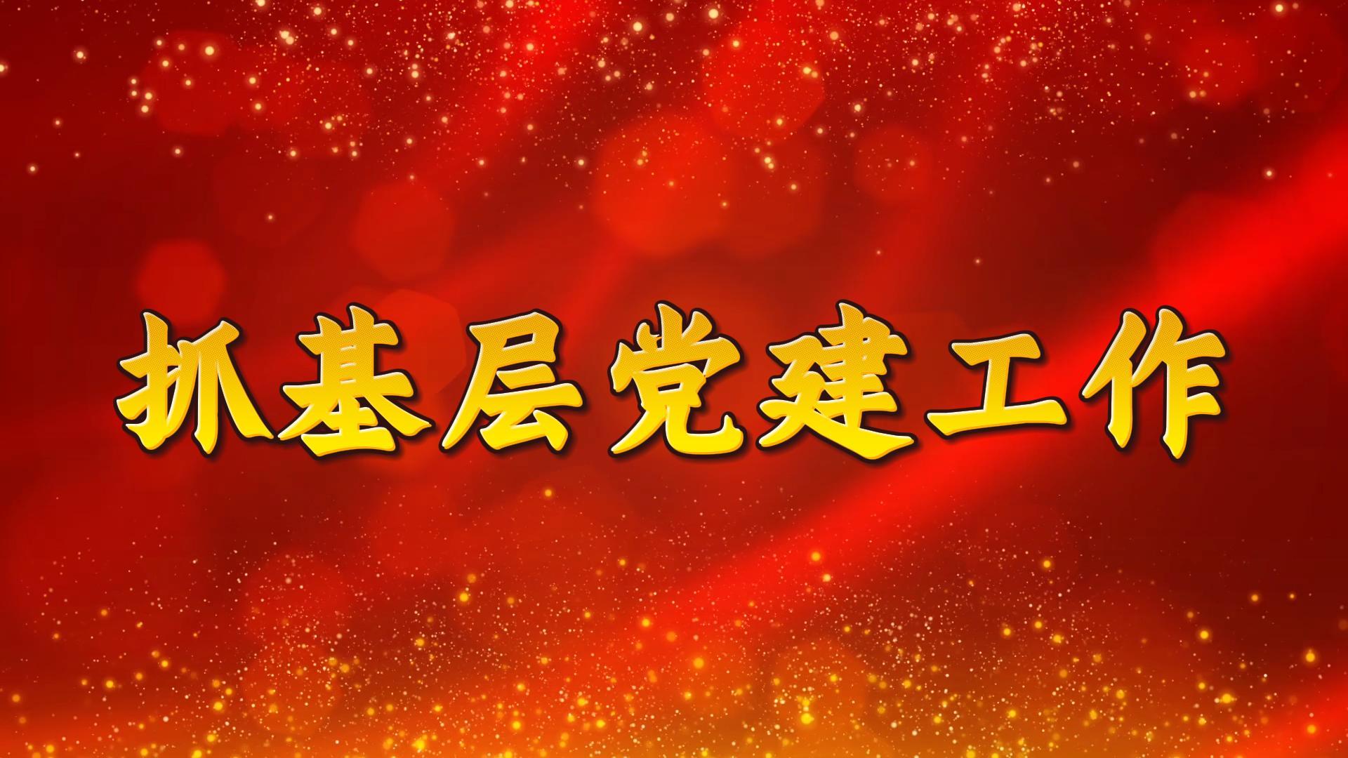 河北省市委书记抓基层党建工作述职评议会议在石家庄召开